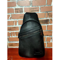 Сумка КОЖА Backpack AND 604  (100)