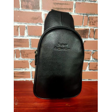 Сумка КОЖА Backpack AND 610  (100)