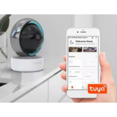 360   Камера       TY305    wifi   camera ¶5v2a power¶ app:tuya 标贴6mp   (50)