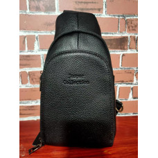 Сумка КОЖА Backpack	AND 601  (100)